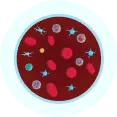 anemia