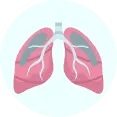 lungs