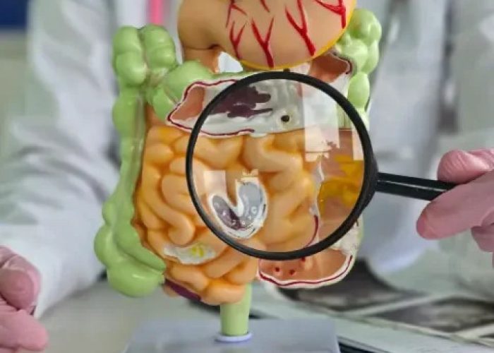 Gastroenterology-imgD1-480x576
