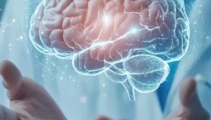 Neurology-imgB1-480x576